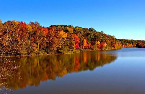 Susu's-I-Luxurious 2 Bedroom 2 Bath Apartment - Foto 48