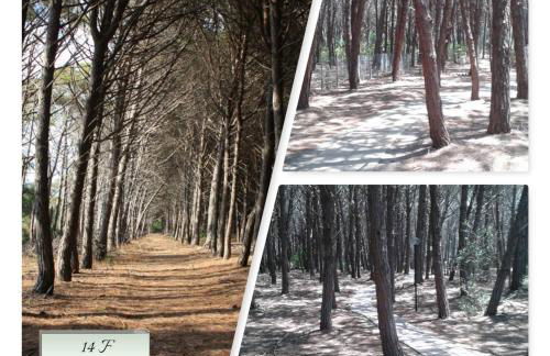 PIZZO BEACH CLUB 14F - Foto 30