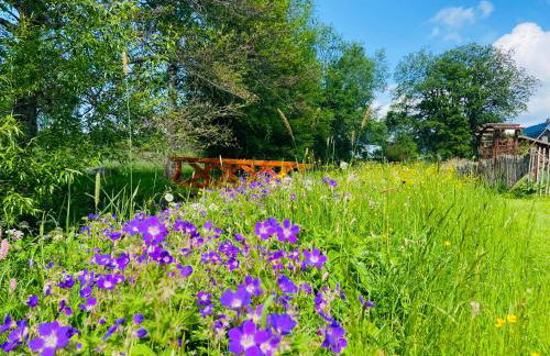 Ferienhof Alte Wildmeisterei - Fewo Gartenblick - Foto 35