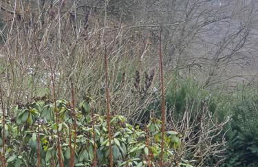 Großes Ferienhaus Sauerburgblick - Photo 9