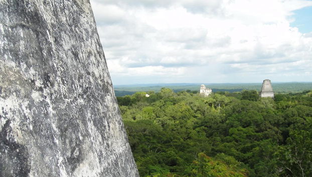 Visita al Parque Nacional Tikal desde la ciudad de Guatemala - Foto 3