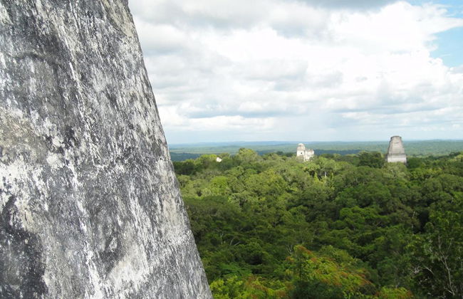 Visita ao Parque Nacional Tikal desde a cidade de Guatemala - Foto 3