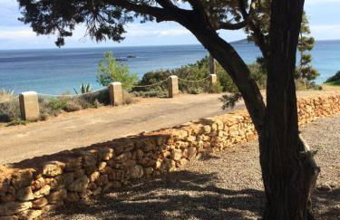 Arenal d´Or - Photo 3