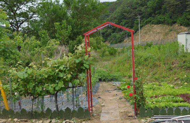 Pension Cafe Yoon & Park - Foto 33