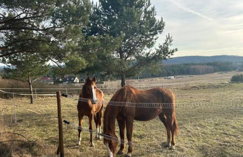 Apartament POD STRZECHĄ - Foto 40
