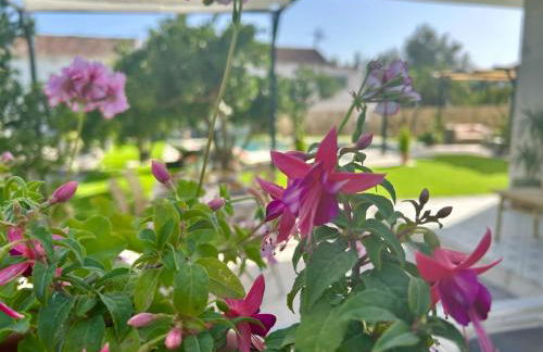 GATU Villa Luna Casa de campo con piscina privada - Foto 75