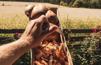 Leśna 21 Dom Północ przy PUSZCZA BIAŁOWIESKA - Foto 66