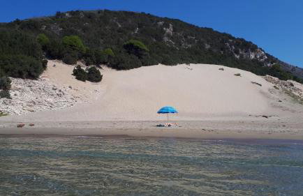 Villa Dunes 350m from the sandy beach - Foto 23