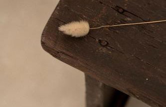 Sikalindi Apulia - Foto 15