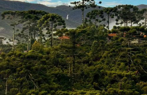 Casa na Cachoeira das Fadas - Matutu, Aiuruoca - MG - Foto 10
