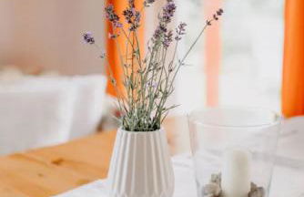 Haus Hanni Zarrentin am Schaalsee - Foto 22