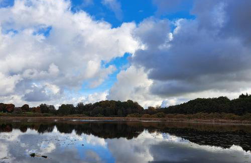 Łabądkowo - Foto 61
