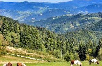 Domek u Johnnego - Foto 22