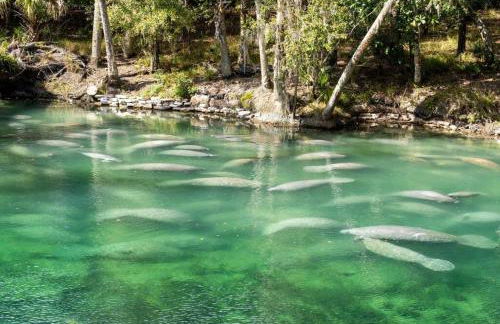 Shark Shack large house minutes to the beach - Photo 28