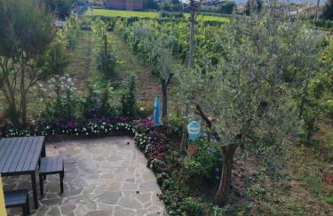 Sole e Luna nella Vigna - Foto 27