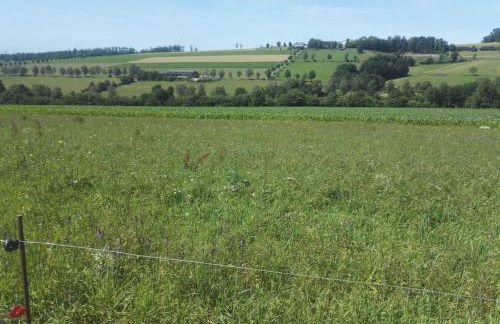 Gemütliche Wohnung Rothaarsteig Ski Sauna Ruhrtal Green Hill - Foto 30