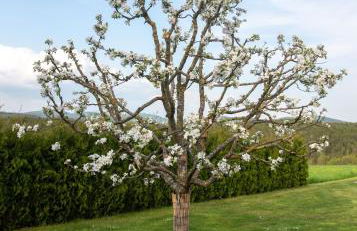 Moderne, gemütliche DG-Wohnung in ruhiger Lage - Foto 37