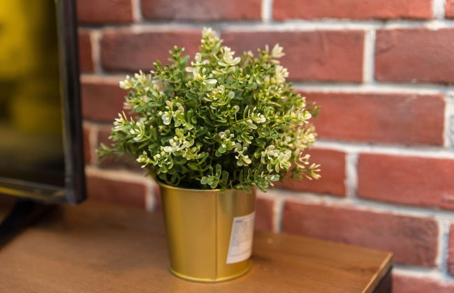 Rumah Joho Guesthouse - Photo 23