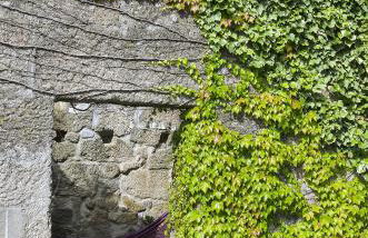 Family Secrets Douro - Foto 46