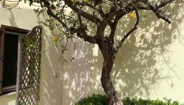 Casa Lime - Foto 3, Garden, Garden view