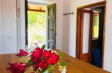 Sole di Bagnone - Photo 21