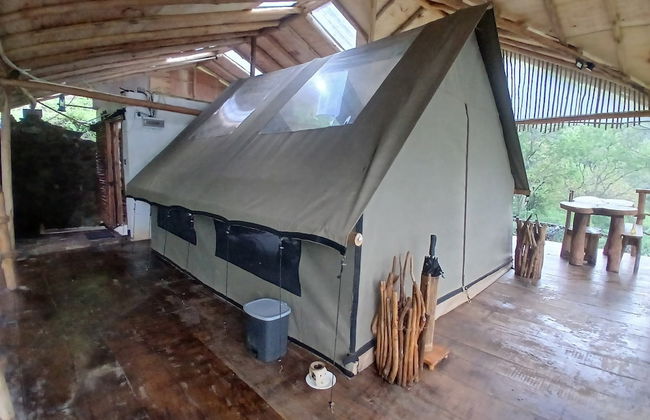 Ella Retreat Hotel - Photo 23