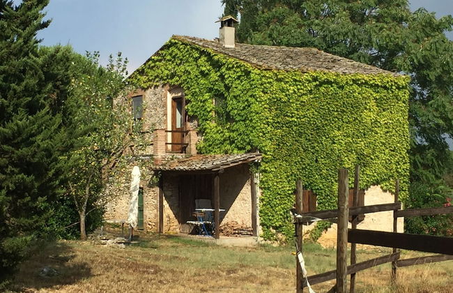 Agriturismo Podere Conte Ràcani - Foto 35