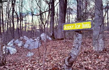 Enchanting Cottage In The Woods - Foto 17