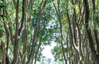 Fawsley Hall Hotel - Foto 7