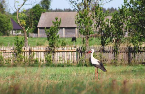 Miło las widzieć - Foto 60