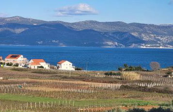 Stone House Apartments Didini Dvori Lumbarda - Foto 76