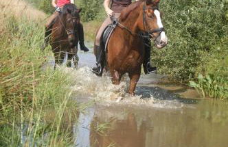 Ferienwohnungen Sund Ostfriesland - Foto 48