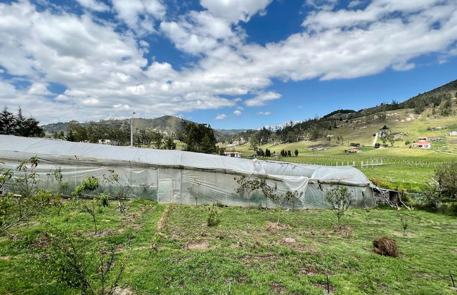 Estancia Jardín de Teresita - Foto 29