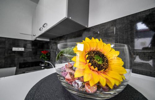 Apartments Joso - Foto 18