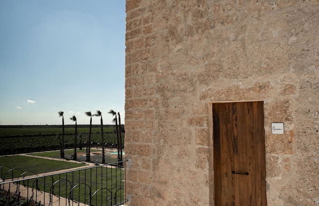 Masseria Torleanzi - Wine Relais - Photo 15