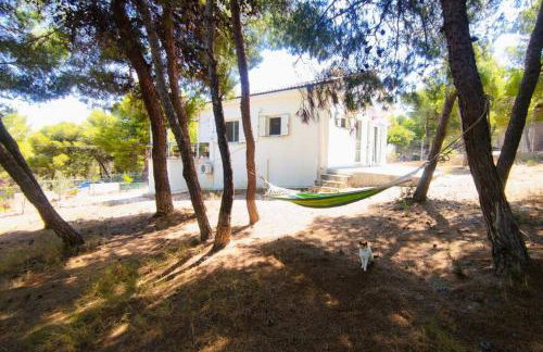 My Place 2 - Foto 29