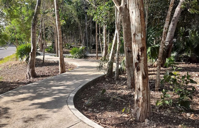 Devoted Hoestel in Cancun With Equipped Kitchen, Pool, Close to Beaches & More! - Photo 29