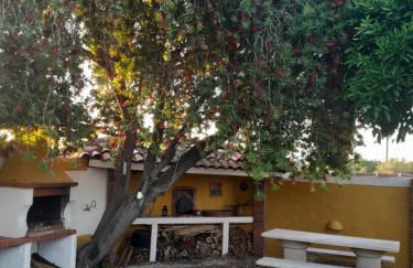 Páteo das Laranjeiras - Foto 15