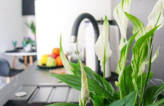 Cosmo apartment - Foto 22