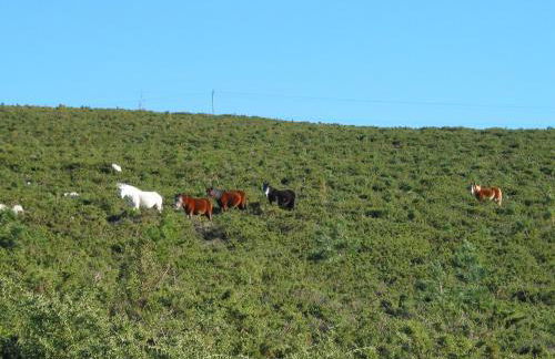 Apartamentos Playa Monte Pindo - Lobeira do Mar - Foto 23