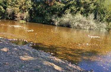 Casa Histórica Aldana, Plaza Vieja - Foto 33