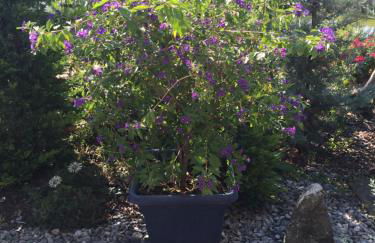 Ferienwohnung Vogesenblick - Foto 50