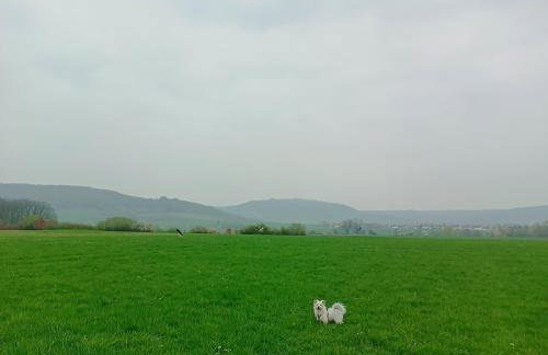 Domus Limes, Rad-Oase im Seenland - Foto 7