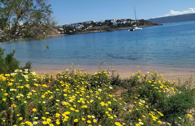Beautiful Beach House At Sounio - Foto 18