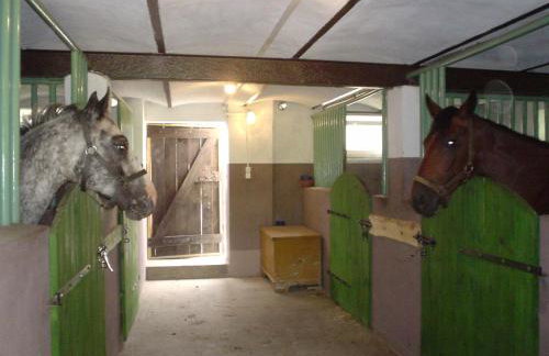 Agroturystyka Dolinka - Foto 30