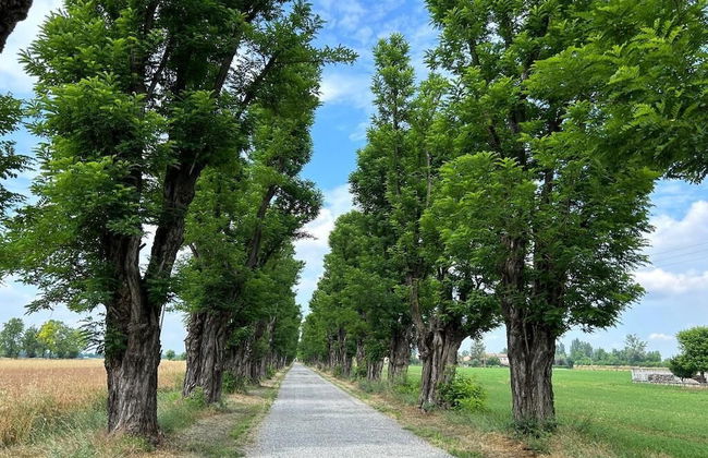 AGRITURISMO LE CORTI DELLA GUALDANA - Foto 34