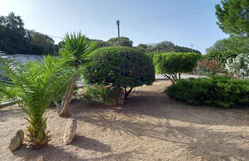 House Bellavista - Foto 4