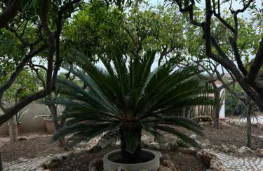 A casa di Ro - Foto 34