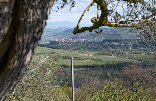 L' INCANTO - Foto 46