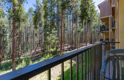 Winter Park Mountain Retreat with Stunning Views - Foto 32